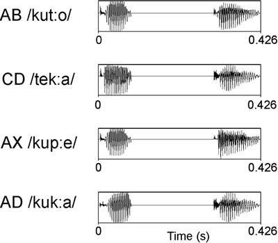 Establishing neural representations for new word forms in 12-month-old infants